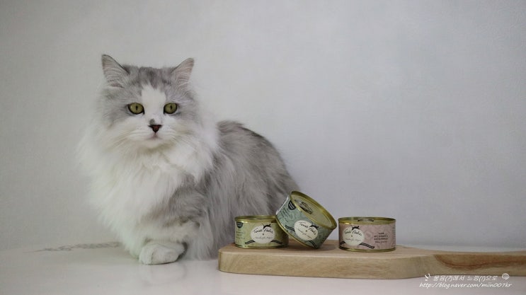  테라펠리스 클래식 독일산 수제 고양이 주식캔