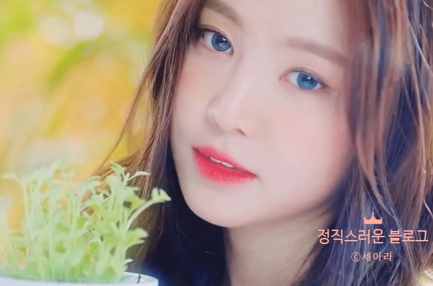  여자들의 워너비 닮고 싶은 몸매 종결자 손나은♡