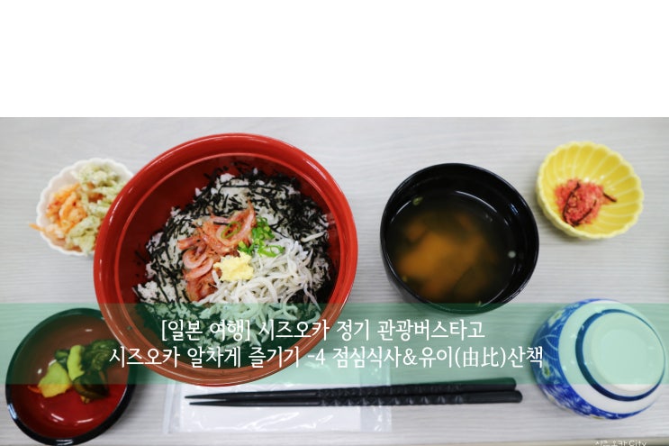  [일본 여행] 시즈오카 정기 관광버스 타고 시즈오카 알차게 즐기기 -4 점심 식사&유이(由比) 산책
