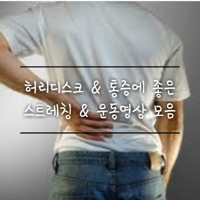 허리디스크에 좋은 스트레칭 & 운동영상 모음 (feat. 하면 안되는 자세 포함)