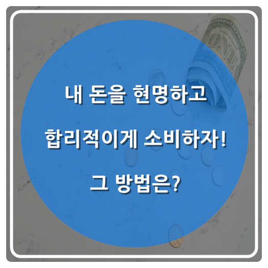  내 돈을 현명하고 합리적이게 소비하자! 그 방법은?