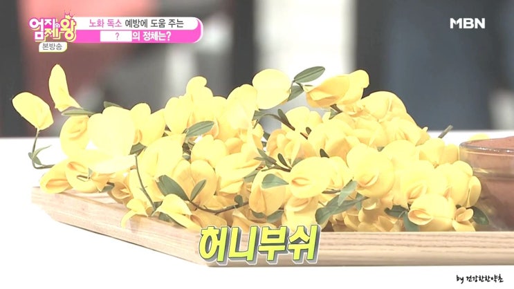  허니부쉬 허니부시~