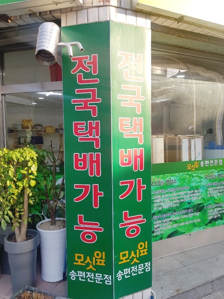 행운모싯잎송편 사진 2