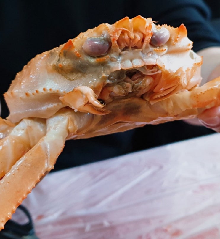  포항 붉은대게 무한리필 맛집 "울진 왕돌초"~단골집으로 찜 들어 갑니다!
