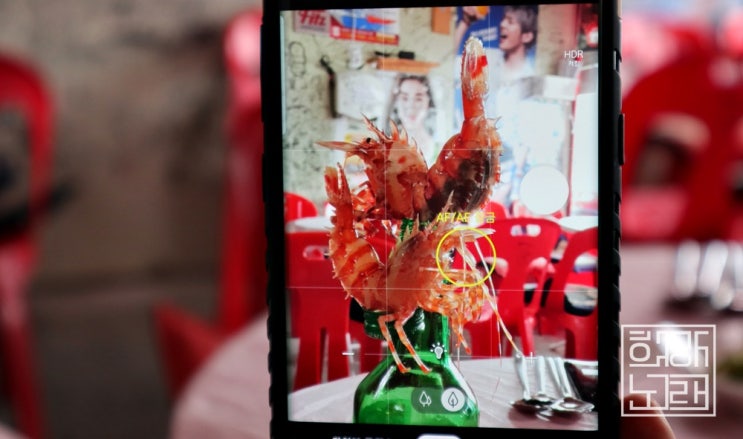  속초 포장마차거리 연애의맛 김보미고주원 코스