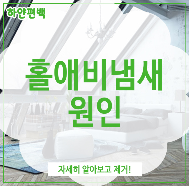  홀애비냄새 원인, 자세히 알아보고 제거!