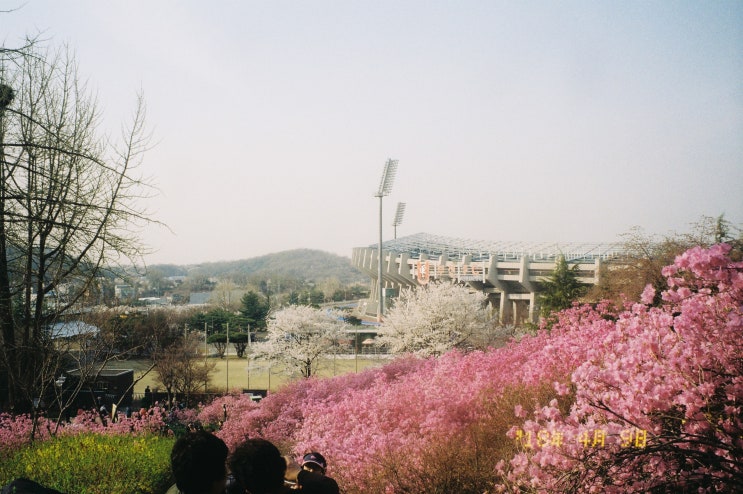 필름카메라입문,캐논 오토보이 jet 후기/자동필름카메라 추천/필름카메라리뷰