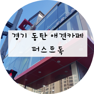  [경기/동탄] 동탄애견카페 퍼스트독을 다녀오다