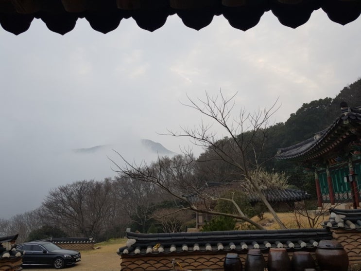  남도여행 2: 일지암의 아침과 생일도 동백, 미황사의 저녁