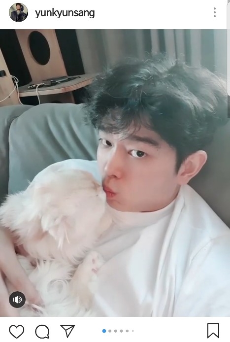  윤균상 반려묘 솜이 사망 ㅠㅠ 수의사가 알려준 '고양이 헤어볼' 예방법