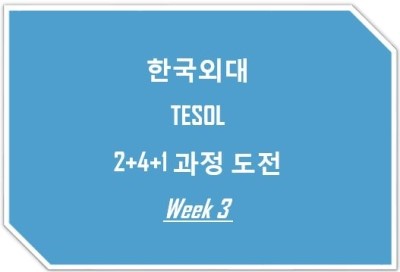 [한국외대테솔] TESOL 2+4+1 과정 도전 !! WEEK 3주차 후기 ( 해외인턴쉽 정보 )