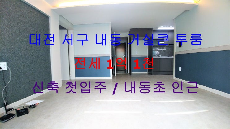  대전서구내동신축첫입주거실큰투룸전세(내동초인근)