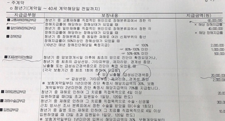  31세 남성 우체국 생애맞춤보험 좀 봐주세요