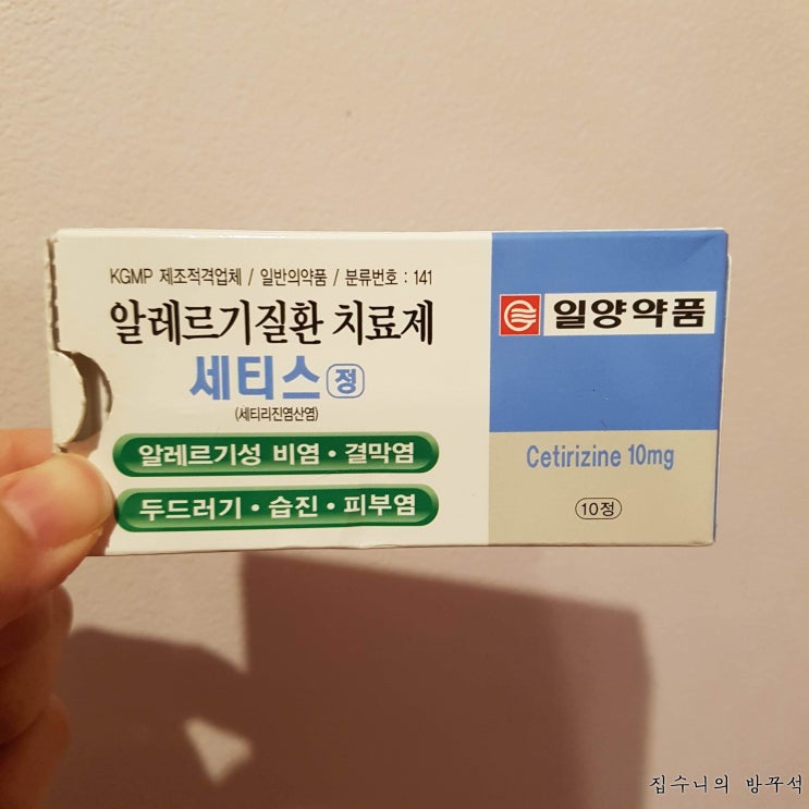  [매일매일 버리기]D+494_알레르기질환 치료제