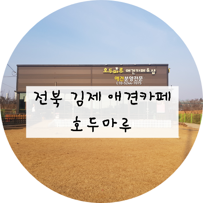  [전북/김제] 호두마루 애견카페를 다녀오다!!