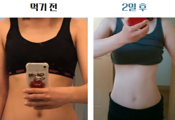  몸신 쑥청혈차 알약 효능 해독다이어트 2일차 후기