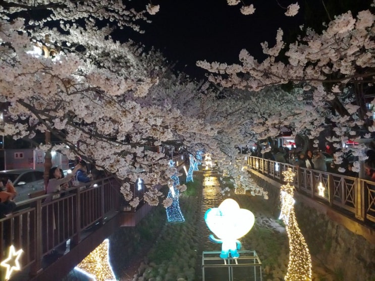  2019진해 군항제 미리보기 (2019.03.31~04.10)