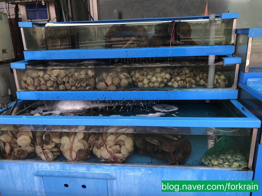 궁중해물탕 양성점 사진 4