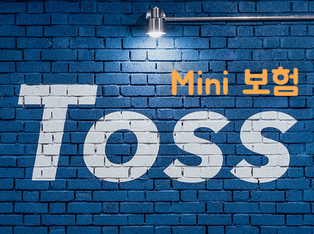 토스(Toss) 미니 보험 / 1일 운전자, 암보험, 해외여행, 반려견, 미세먼지