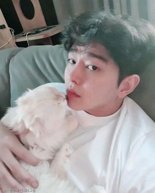 "더 좋은 아빠가 되어주지 못해 미안" 막내 고양이 떠나보낸 윤균상