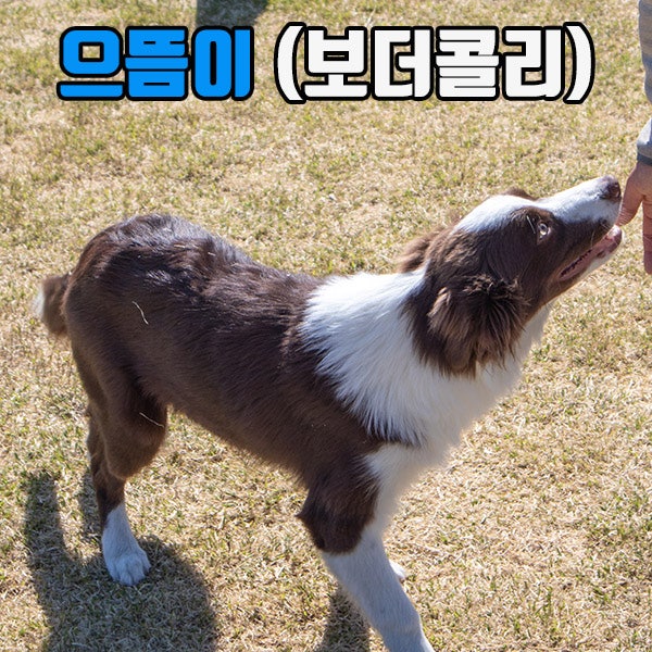 사진 7