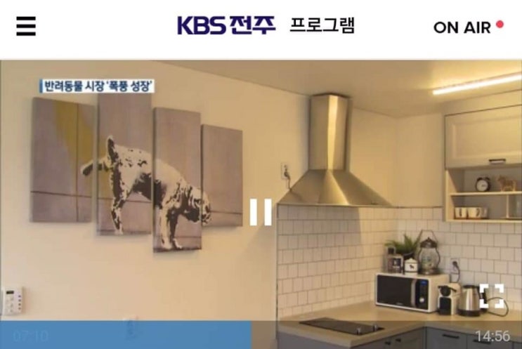  도기더스테이 KBS9시 뉴스
