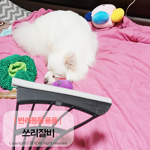  반려동물 용품 틈새청소 힘들지 않아요 ~ 빗자루 쓰리잘비