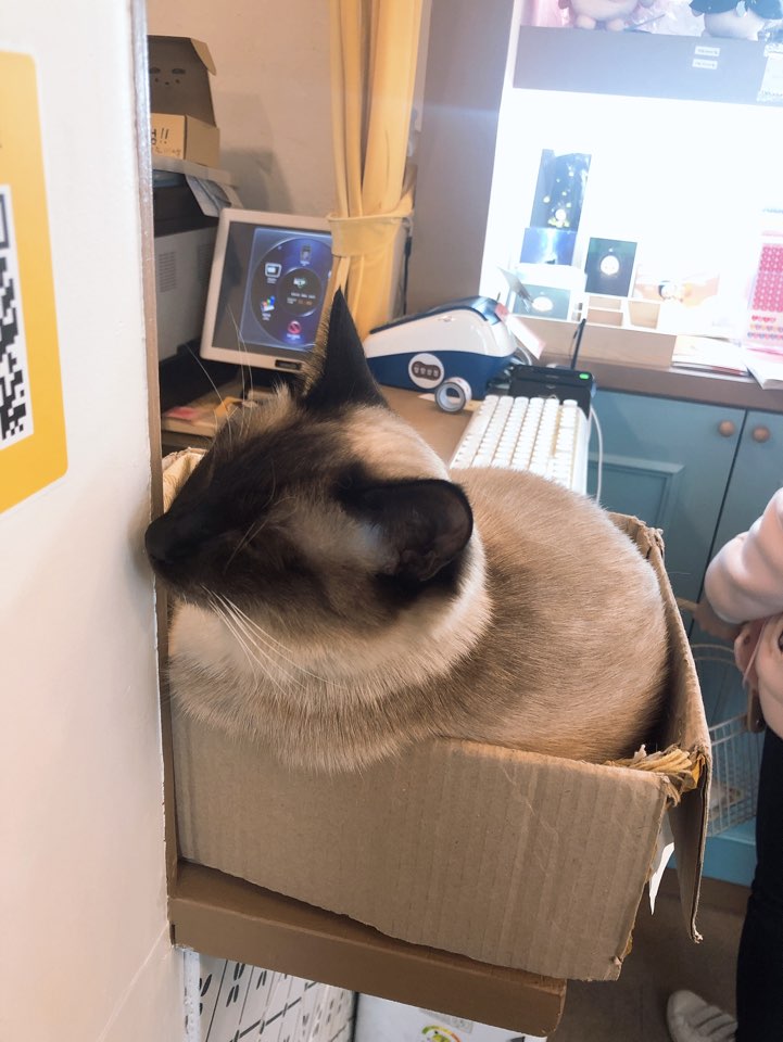  190327 망원동 신촌 소품샵 카페 마라탕