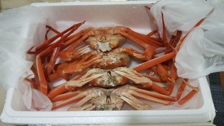  구미 상모 구룡포 - 홍게 , 대게