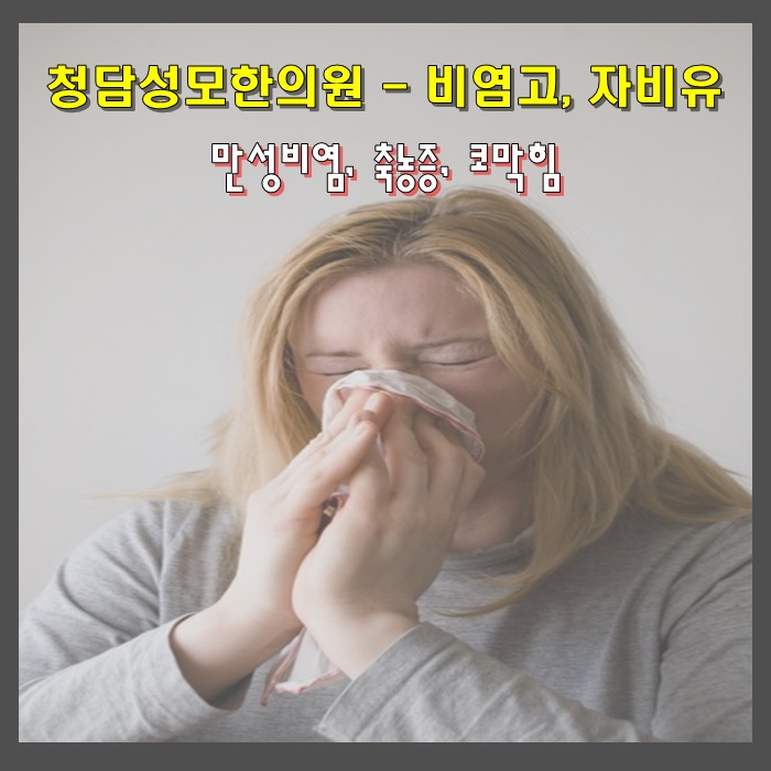  만성비염치료 방법-청담동한의원 청담성모한의원의 비염고, 자비유!