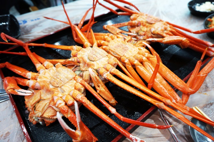  당진 대덕동 대게 날으는 산오징어 붉은대게 무한리필