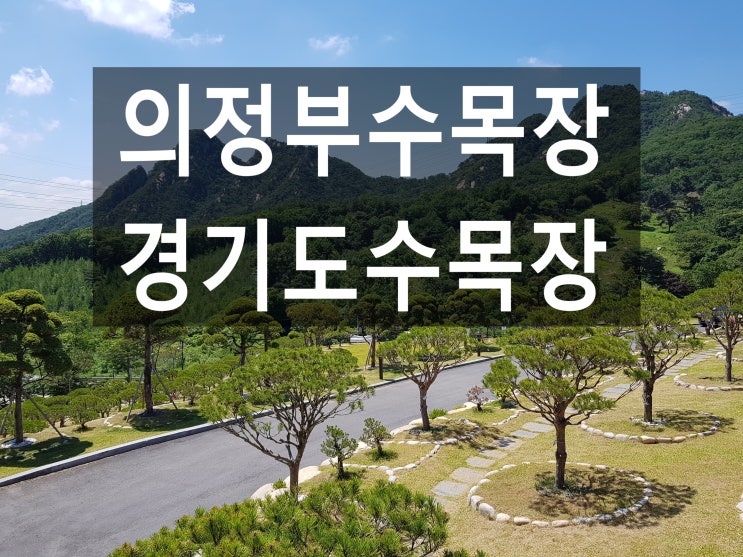  의정부수목장 환경이 궁굼합니다..