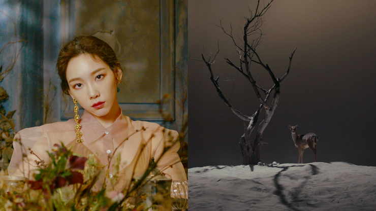 태연 사계 가사/MV감상/자동재생