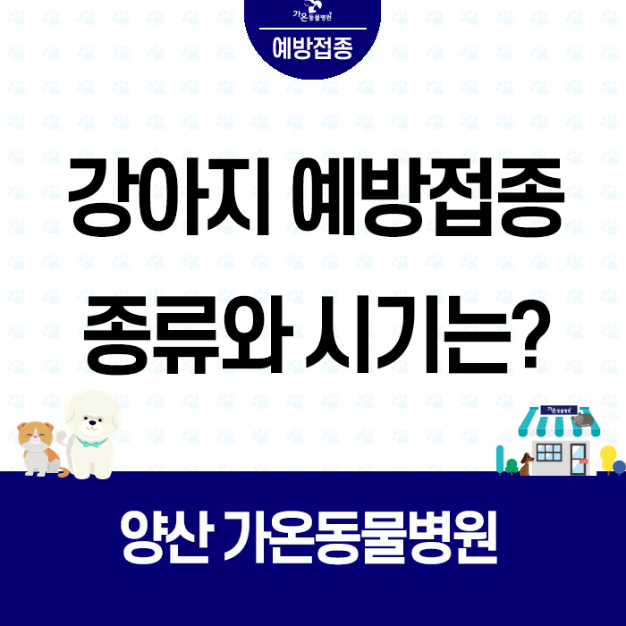  강아지예방접종/강아지예방접종종류/강아지예방접종시기/접종후주의사항/양산가온동물병원/양산동물병원/부산동물병원/울산동물병원