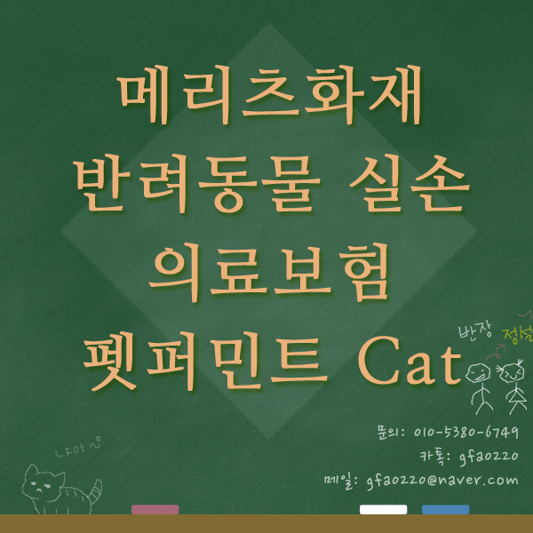  반려동물 실비보험!? 고양이 보험!? 펫퍼민트 CAT!_메리츠화재 