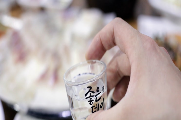  [연산동횟집] 해안선에서 신선한 회 한 입