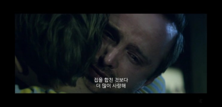  나인스 라이프 모든것이 진실이 아니라면