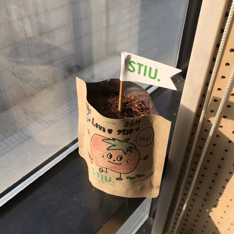  스티유 그린데이 커밍순!(사은품은 과연?)
