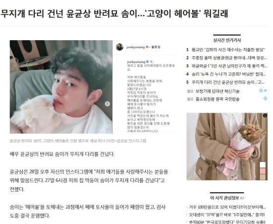  1. [헤어볼] 윤균상 고양이(솜이) / 헤어볼이란 무엇일까?