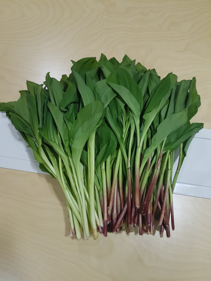  2019년명이나물 예약주문