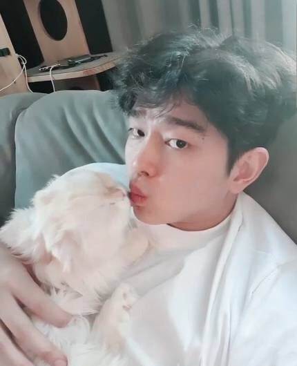 윤균상 고양이 갑자기 세상 떠났다..원인 '헤어볼' 뭐길래