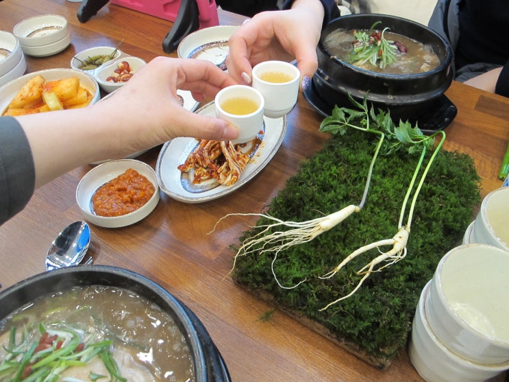  청라 삼계탕 추천은 무조건 초애삼계탕! 진심 내 삼계탕최애집 등극!!!