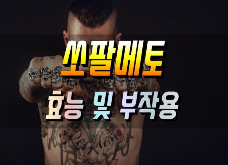  전립선비대증 특효 쏘팔메토 효능 바로알기