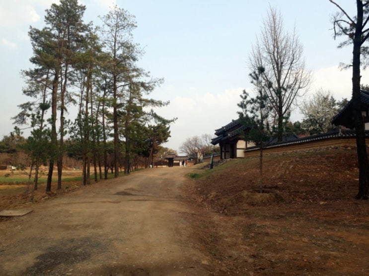  경산 힐링 플레이스 영남대학교경산캠퍼스민속촌 ~조용하고 고즈넉한 곳