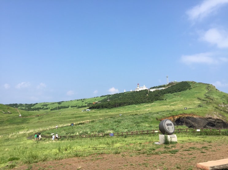  제주/ 우도 등대공원과 비양도구경 후 휴식은 포요요카페