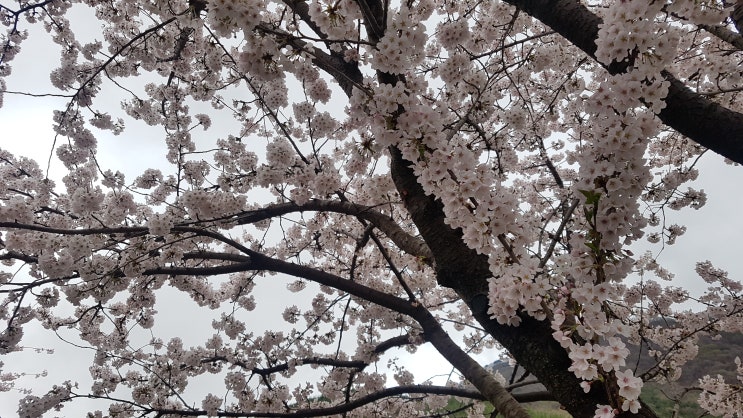 [대구데이트] 여기에서 뽀개자 더블데이트 무조건 요기요기 뽀개기 코스! 스핀볼 체험 뽀개기 원투쓰리 고고싱~