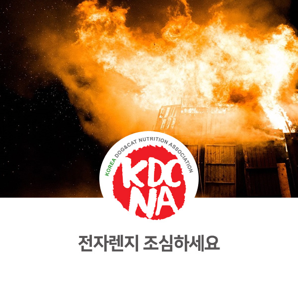  [반려동물 사건 사고] 고양이 집사님들 화재 조심하세요_07