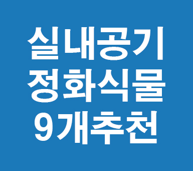 실내공기정화식물 9개추천