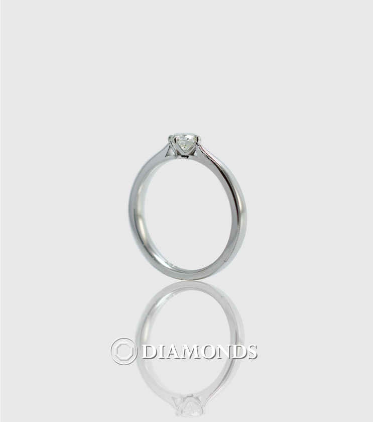  다이아몬드 반지 - 에버레스팅 반지, 0.3ct(웨딩밴드 겸용)