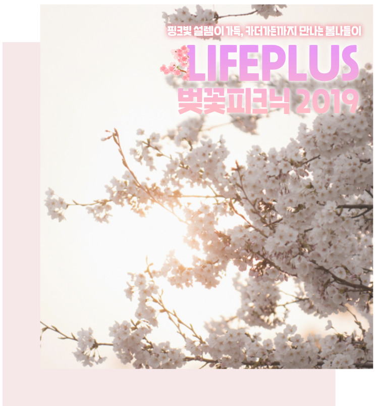  카더가든 입덕했다면? 봄나들이와 함께 즐기는 LIFEPLUS 벚꽃피크닉 페스티벌 2019에서 영접하자!